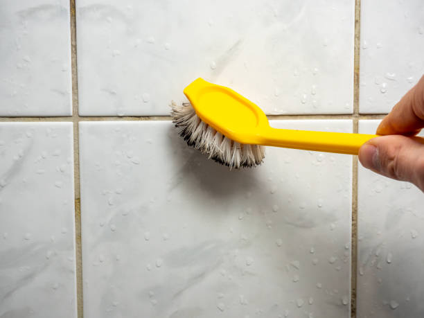 Best Black Mold Removal  in Ivins, UT