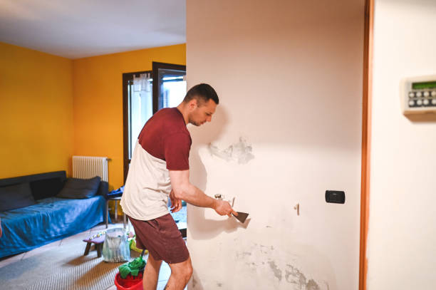 Best Attic Mold Removal  in Ivins, UT